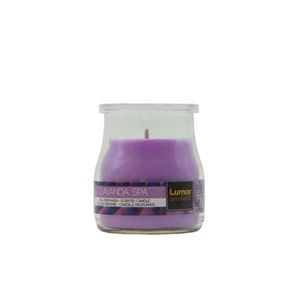 Spa Aromatherapy Paraffin Wax Scented Candle 100G Glass Jar